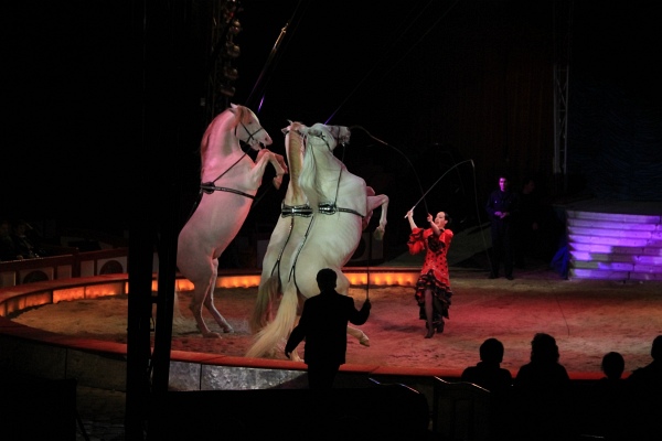 Krone2011   085.jpg